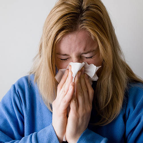 Vue interieure de la Pharmacie du Moustier